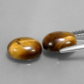 Pedras preciosas de tiger's eye marrom natural de  ct, corte oval, opaco