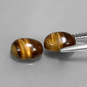 Pedras preciosas de tiger's eye marrom natural de  ct, corte oval, opaco