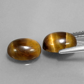 Pedras preciosas de tiger's eye marrom natural de  ct, corte oval, opaco