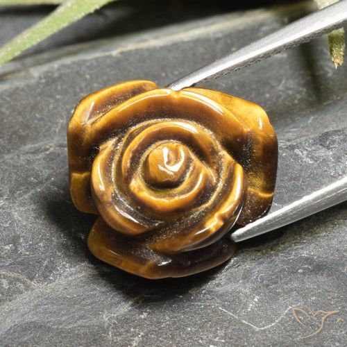 10.93ct Natural Marrom dourado Olho de Tigre, Flor cortada, Opaco