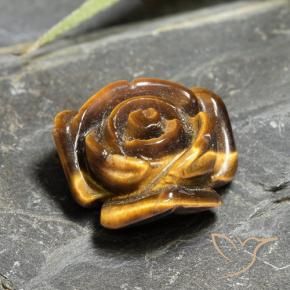 Olho de Tigre Marrom dourado Natural 10.93ct, Flor cortada, Opaco