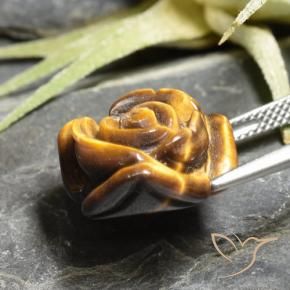 Olho de Tigre Marrom dourado Natural 10.93ct, Flor cortada, Opaco
