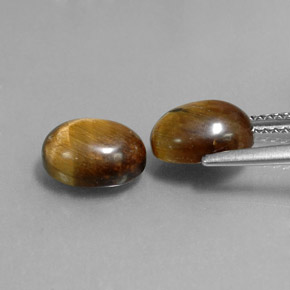 Pedras preciosas de tiger's eye marrom natural de  ct, corte oval, opaco