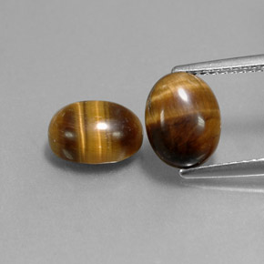 Pedras preciosas de tiger's eye marrom natural de  ct, corte oval, opaco