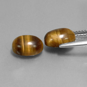Pedras preciosas de tiger's eye marrom natural de  ct, corte oval, opaco