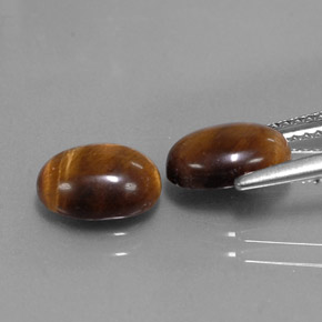 Pedras preciosas de tiger's eye marrom natural de  ct, corte oval, opaco
