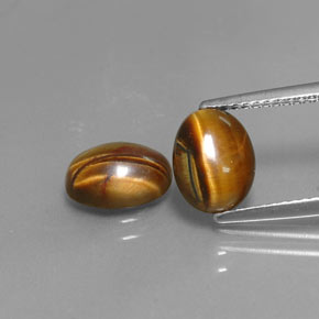 Pedras preciosas de tiger's eye marrom natural de  ct, corte oval, opaco