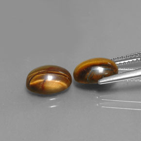Pedras preciosas de tiger's eye marrom natural de  ct, corte oval, opaco