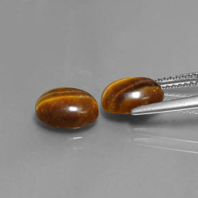 Pedras preciosas de tiger's eye marrom natural de  ct, corte oval, opaco
