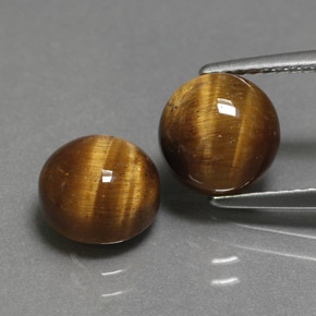 Pedras preciosas de tiger's eye marrom natural de  ct, corte redondo, opaco
