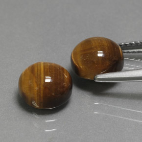 Pedras preciosas de tiger's eye marrom natural de  ct, corte redondo, opaco
