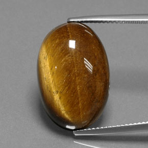 Tiger's eye marrom natural 18,74ct, corte oval, opaco