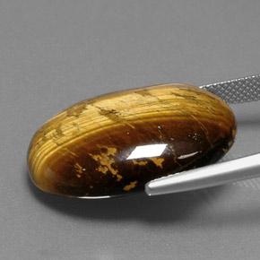 Olho de Tigre Marrom dourado Natural 24.97ct, Corte Oval, Opaco