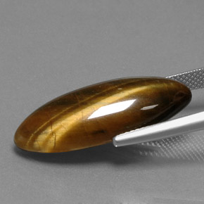 Tiger's eye marrom natural 14,53ct, marquise, opaco