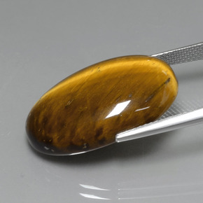 Tiger's eye marrom natural 19,59ct, corte oval, opaco