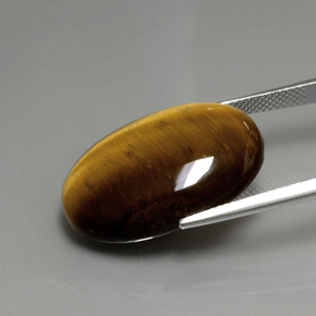 Tiger's eye marrom natural 20,21ct, corte oval, opaco