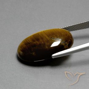 Olho de Tigre Marrom Quente Natural 20.77ct, oval, Opaco