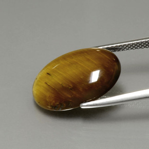 Tiger's eye marrom natural 7,51ct, corte oval, opaco