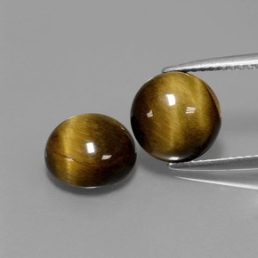 Pedras preciosas de Olho de Tigre Dourado Marrom natural de  ct, Corte Redondo, Opaco