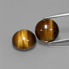 Pedras preciosas de tiger's eye marrom natural de  ct, corte redondo, opaco