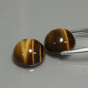 Pedras preciosas de tiger's eye marrom natural de  ct, corte redondo, opaco