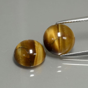 Pedras preciosas de tiger's eye marrom natural de  ct, corte redondo, opaco