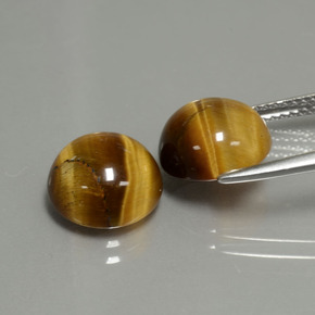 Pedras preciosas de tiger's eye marrom natural de  ct, corte redondo, opaco