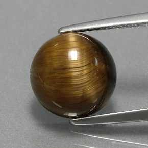 Tiger's eye marrom natural 3,74ct, corte redondo, opaco