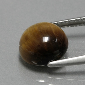 Tiger's eye marrom natural 3,74ct, corte redondo, opaco