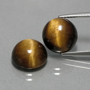 Pedras preciosas de tiger's eye marrom natural de  ct, corte redondo, opaco