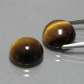 Pedras preciosas de tiger's eye marrom natural de  ct, corte redondo, opaco