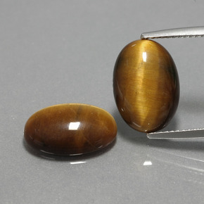 Pedras preciosas de tiger's eye marrom natural de  ct, corte oval, opaco