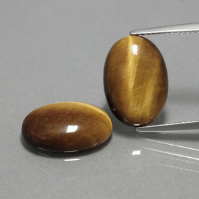 Pedras preciosas de tiger's eye marrom natural de  ct, corte oval, opaco