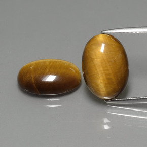 Pedras preciosas de tiger's eye marrom natural de  ct, corte oval, opaco