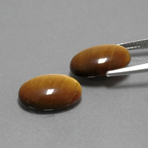 Pedras preciosas de tiger's eye marrom natural de  ct, corte oval, opaco