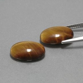 Pedras preciosas de Olho de Tigre Dourado Marrom natural de  ct, Corte Oval, Opaco