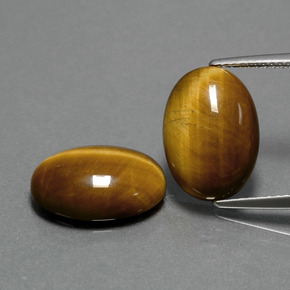 Pedras preciosas de tiger's eye marrom natural de  ct, corte oval, opaco