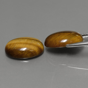 Pedras preciosas de tiger's eye marrom natural de  ct, corte oval, opaco