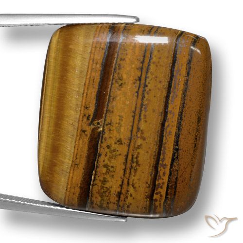 41,49 ct Almofada Olho de Tigre, 27,3 x 23,9 mm Da Tailândia, Photo A
