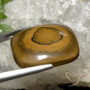 Olho de Tigre Marrom dourado Natural 26.35ct, Almofada, Opaco