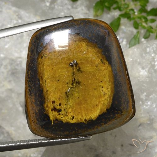 43.20ct Natural Marrom-amarelado Olho de Tigre, Chique, Opaco