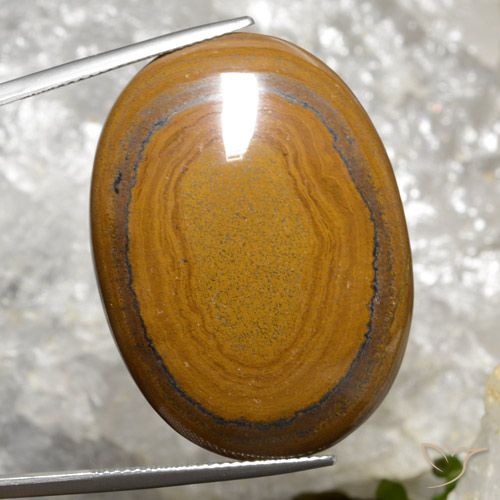 63.98ct Natural Marrom dourado Olho de Tigre, oval, Opaco