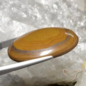 Olho de Tigre Marrom dourado Natural 63.98ct, oval, Opaco