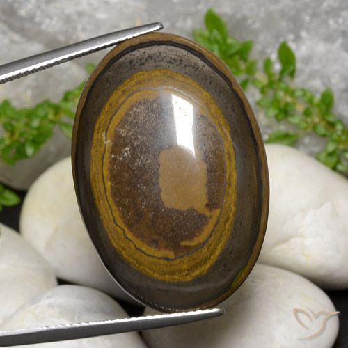 39.14ct Natural Marrom Quente Olho de Tigre, oval, Opaco