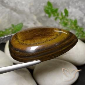 Olho de Tigre castanho-avermelhado Natural 59.01ct, Formato de pêra, Opaco