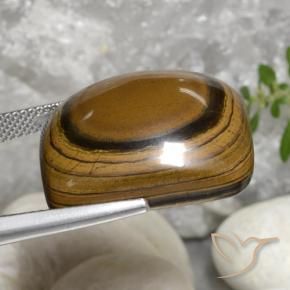 Olho de Tigre Marrom dourado Natural 40.92ct, Almofada, Opaco
