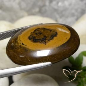 Olho de Tigre Marrom Quente Natural 36.09ct, oval, Opaco