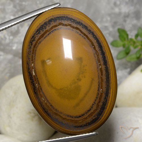 59.70ct Natural Castanho médio-escuro Olho de Tigre, oval, Opaco