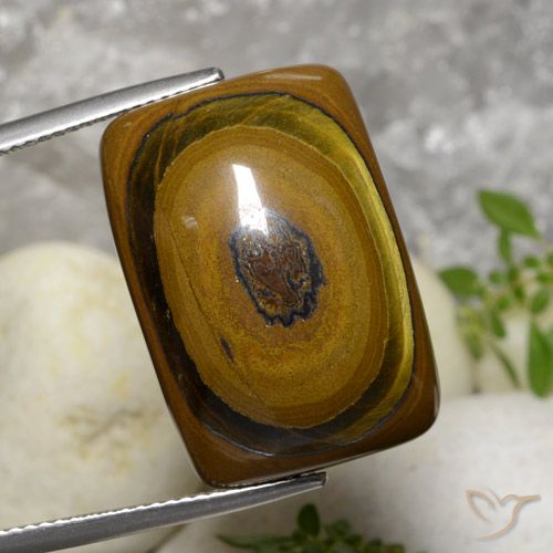 31.07ct Natural Castanho médio Olho de Tigre, Almofada, Opaco
