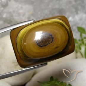 Olho de Tigre Castanho médio Natural 31.07ct, Almofada, Opaco